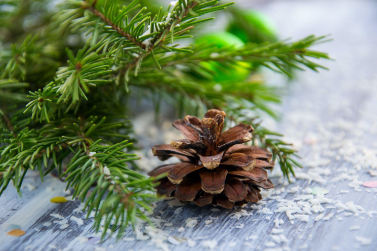 The Magic of Artificial Christmas Trees: Bringing Joy to Your Home, Ballets, and Concerts